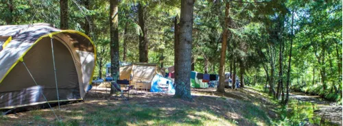 Stellplatz - Emplacement Aluna Festival - image n°2 - Camping Le Roubreau