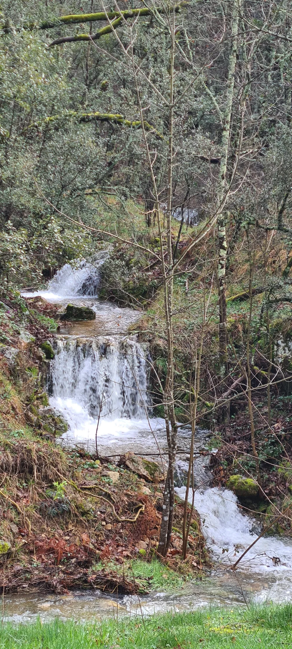 Camping Le Roubreau