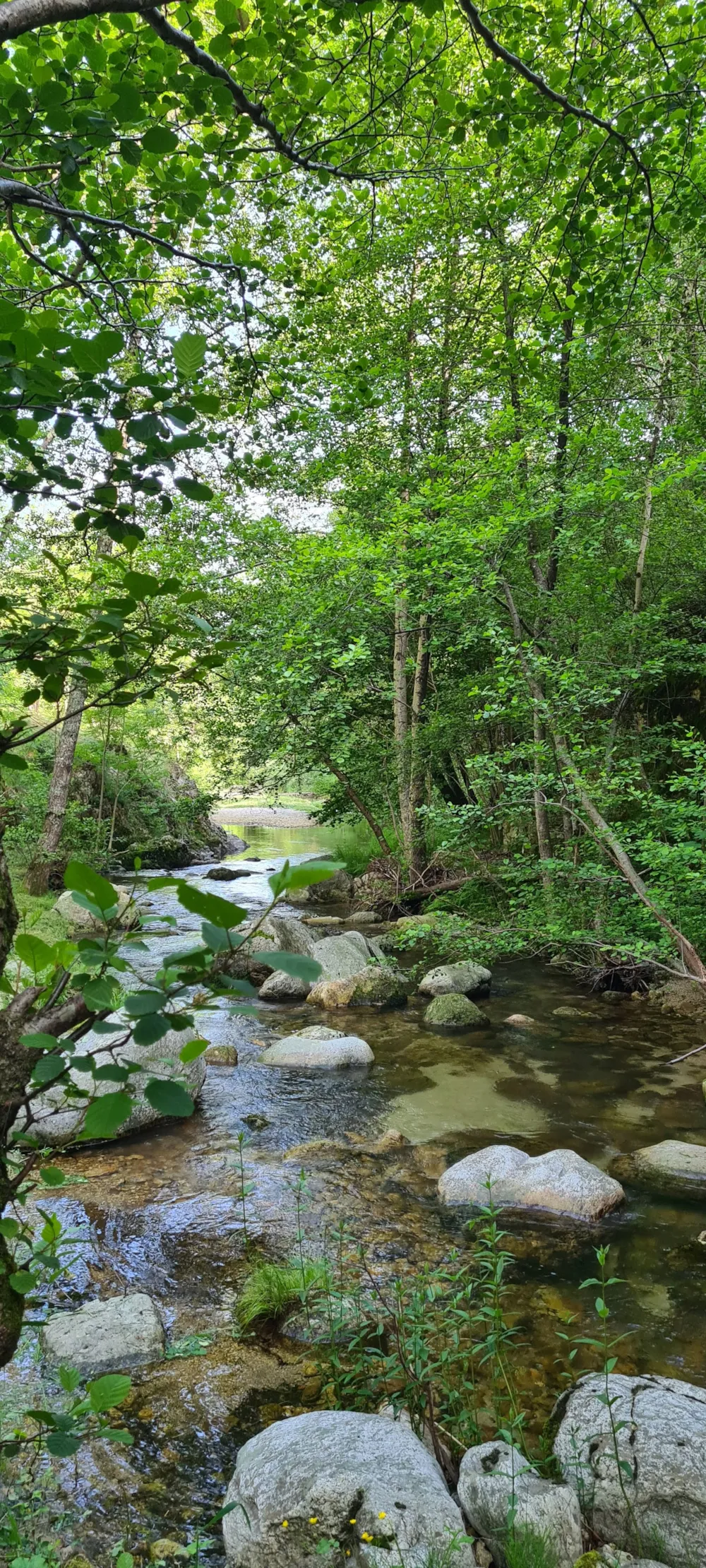 Camping Le Roubreau