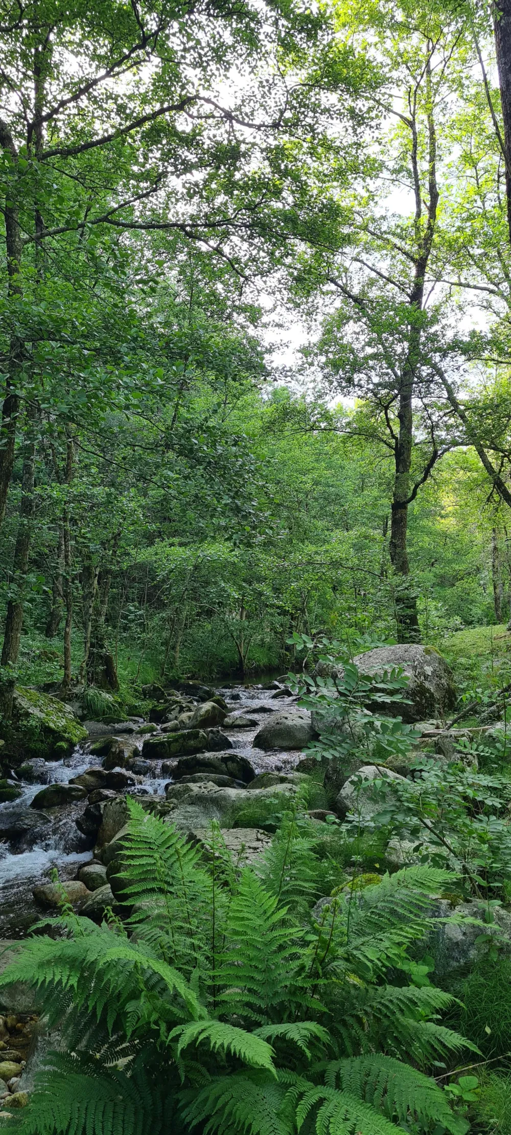 Camping Le Roubreau