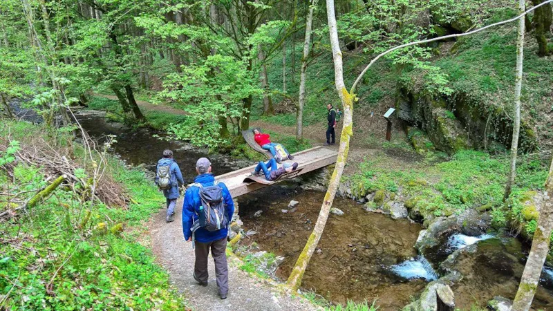 Emplacement Camping-Car + Électricité ( Pas Au Bord De L'eau )