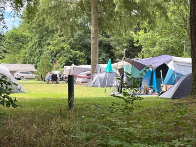 Tent Pitch incl 2. pers.