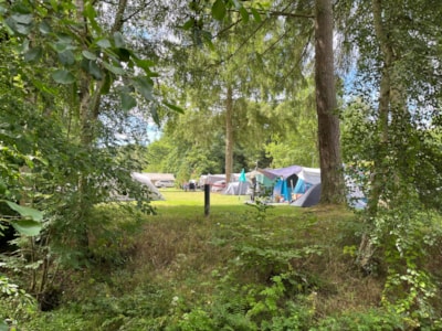 Pitch Tent Basic, incl 1 pers.