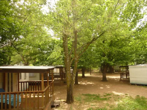 Location - Mobil-Home - image n°3 - Camping Les Gorges du Chassezac