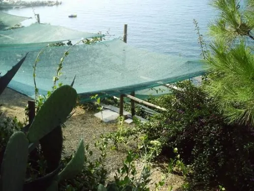 Emplacement Tente 3X3 M