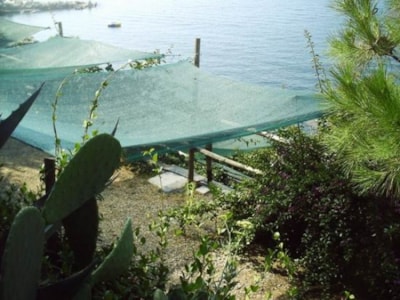 Pitch tent 3x3 m — 1