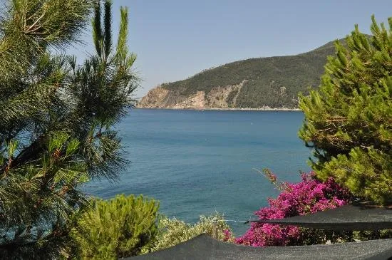 Emplacement Petite Tente 2X2 M