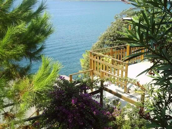 Emplacement Tente 3X3 M