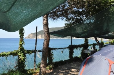 Pitch big tent — 3