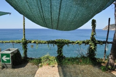 Pitch big tent — 4