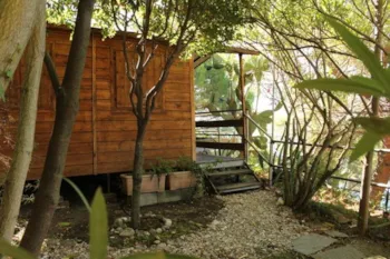 Mietunterkunft - Bungalow - Camping Il Rospo