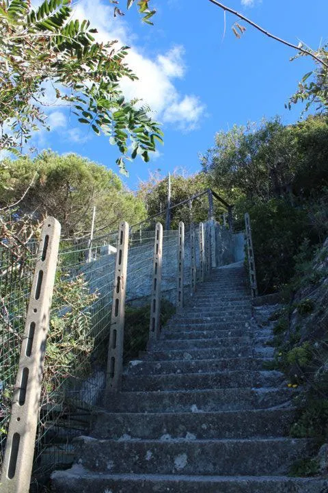 Emplacement Petite Tente 2X2 M