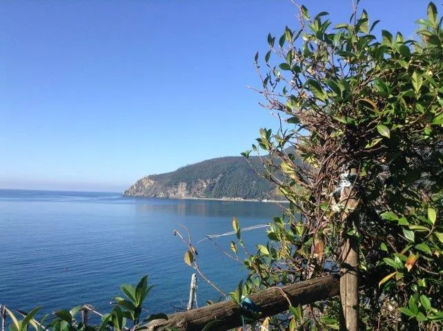 Emplacement Petite Tente 2X2 M