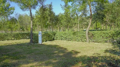 Pitch Premium — 2