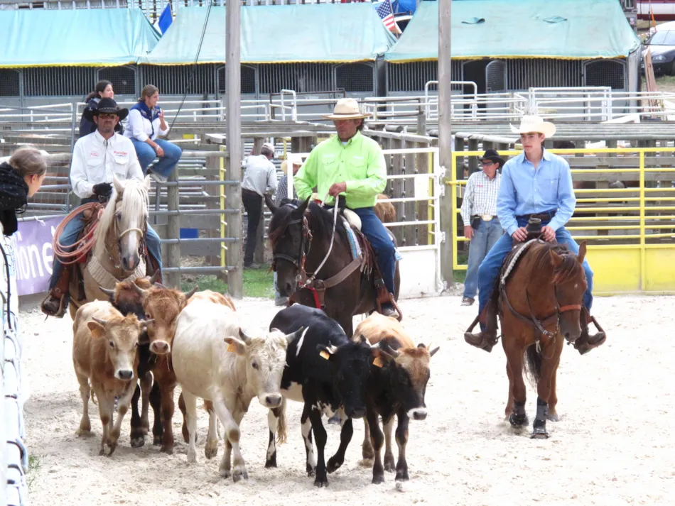 Camping La douce Ardèche