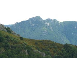 Camping Les Rives de l'Ardèche - image n°44 - Roulottes