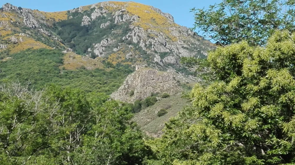 Emplacement - Emplacement - Camping Les Rives de l'Ardèche