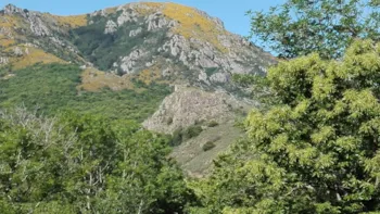 Stellplatz - Stellplatz - Camping Les Rives de l'Ardèche