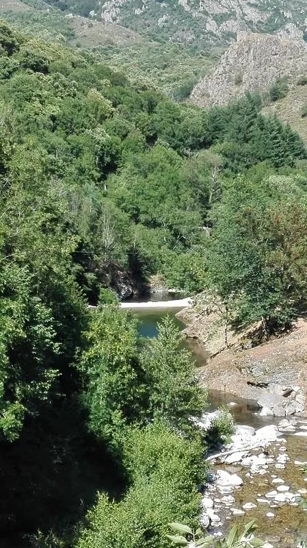 Camping Les Rives de l'Ardèche