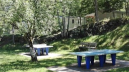 Camping Les Rives de l'Ardèche - image n°28 - Roulottes