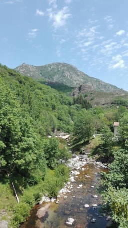 Camping Les Rives de l'Ardèche - image n°10 - Roulottes