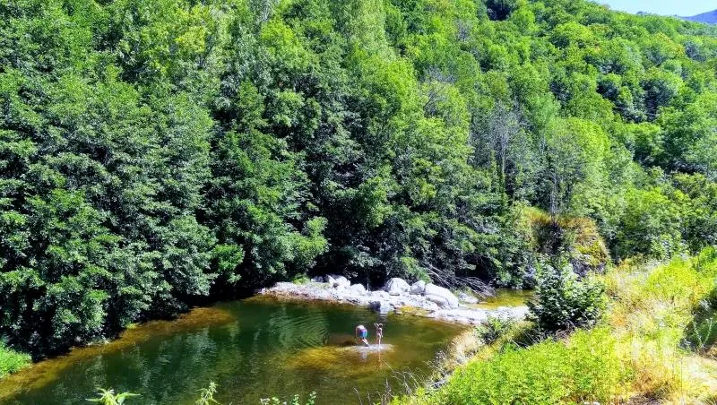 Camping Les Rives de l'Ardèche