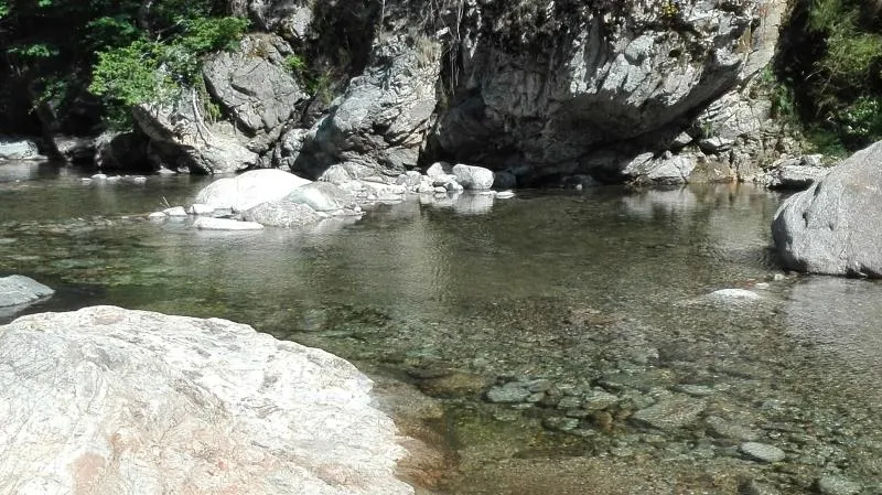 Camping Les Rives de l'Ardèche
