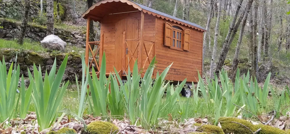 Location - Roulotte Rustique - Camping Les Rives de l'Ardèche