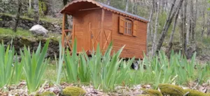 Locatif - Roulotte rustique - Camping Les Rives de l'Ardèche