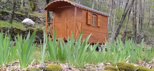 Huuraccommodatie(s) - Pipowagen - image n°1 - Camping Les Rives de l'Ardèche