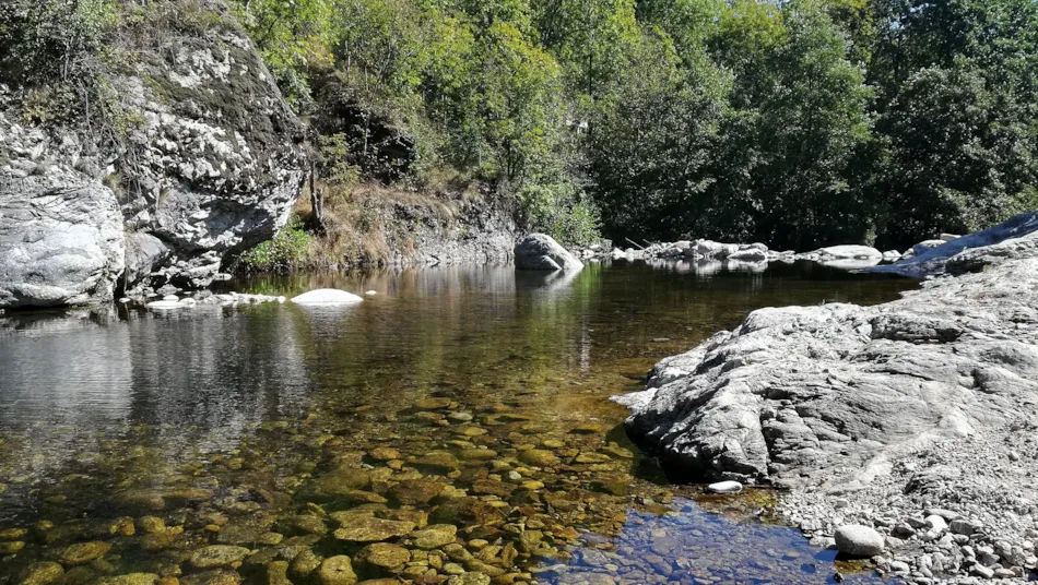 Camping Les Rives de l'Ardèche