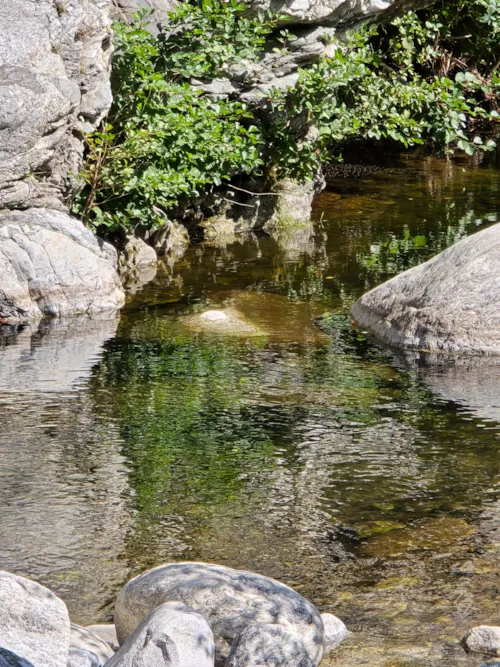 Pitch - Emplacement < 3 Nuits - image n°3 - Camping Les Rives de l'Ardèche
