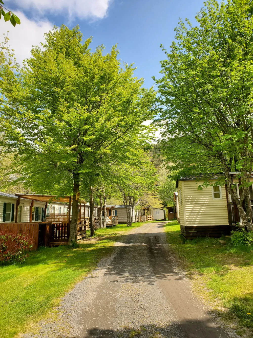 Camping Les Airelles - image n°6 - Ardeche