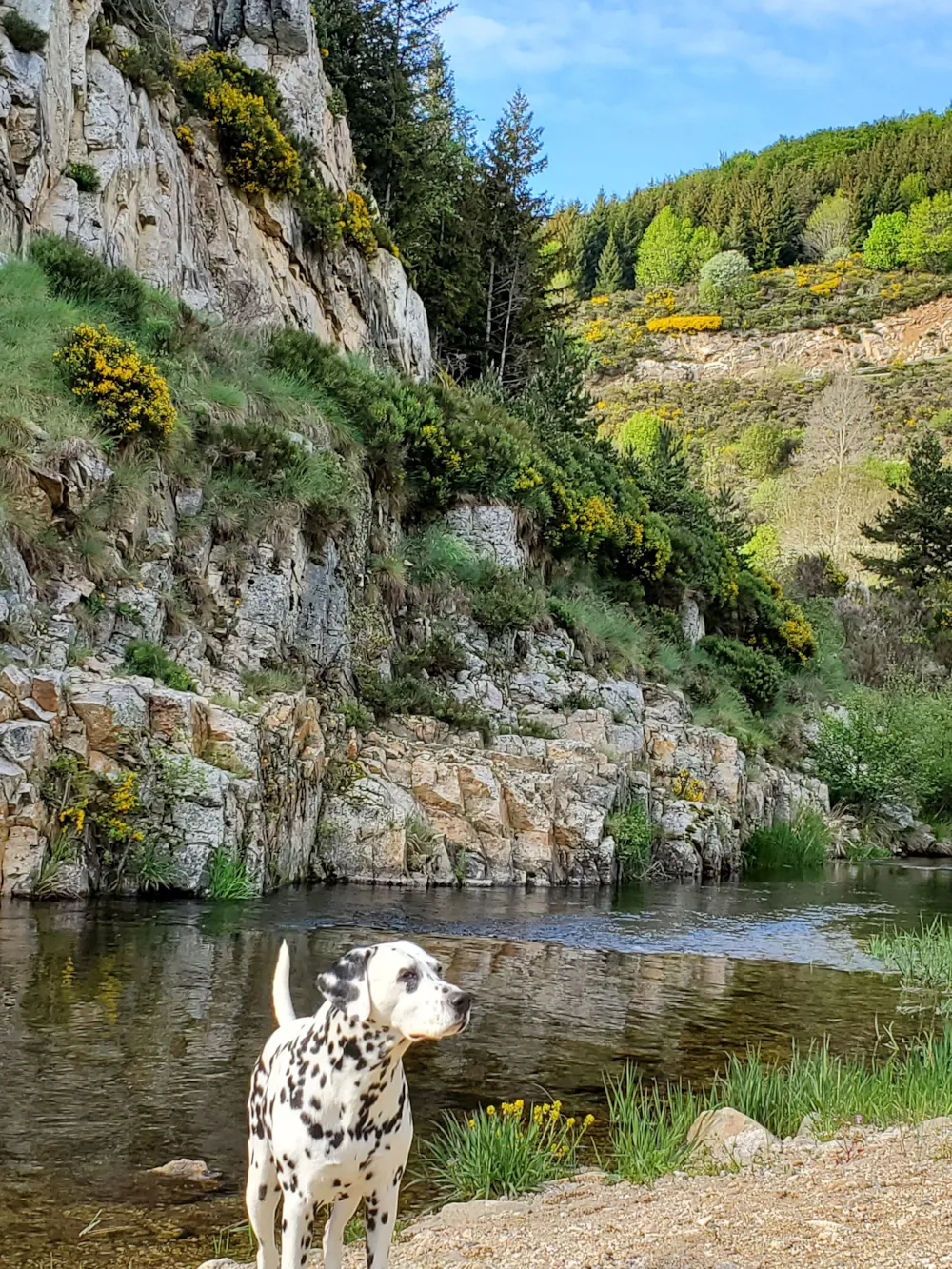 Camping Les Airelles - image n°11 - Ardeche