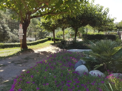 Ushuaïa Villages - Camping Les Pins d'Ucel ****