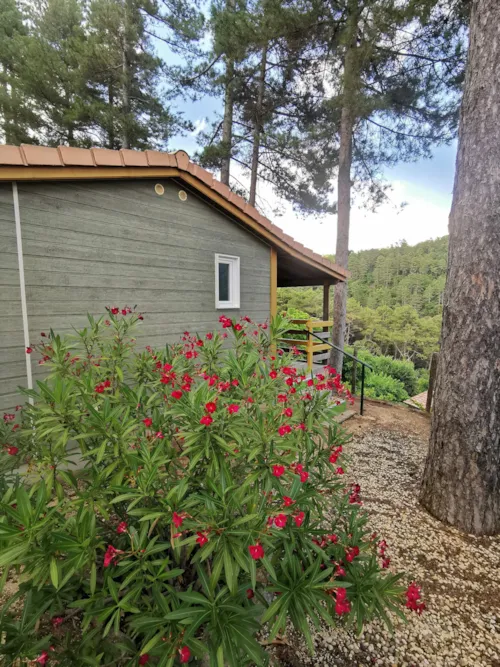 Mietunterkunft - Romarin - Hütte 21M² - image n°2 - Ushuaïa Villages - Camping Les Pins d'Ucel ****