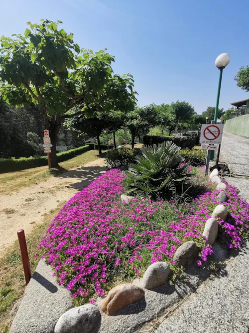 Pitch - Package Pitch - image n°2 - Ushuaïa Villages - Camping Les Pins d'Ucel ****