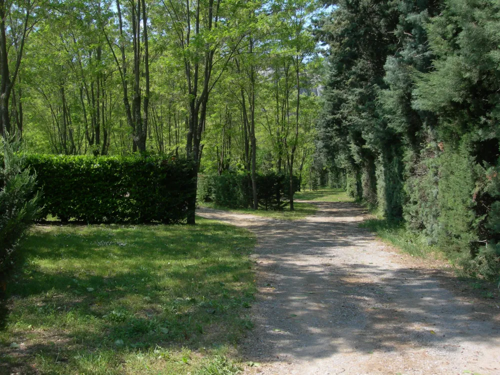 Camping de La Falaise - image n°5 - Ardeche