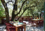 Foto #8 van Camp des Gorges | Camping Nature