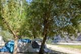 Foto #7 van Camping Aloha Plage