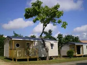 Mietunterkunft - Bungalow-Mobil - Camping La Rouvière Les Pins