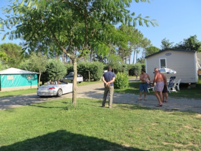 Camping La Rouvière Les Pins