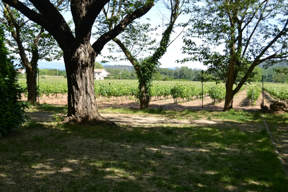 Camping Le Casque Roi - image n°2 - Ardeche