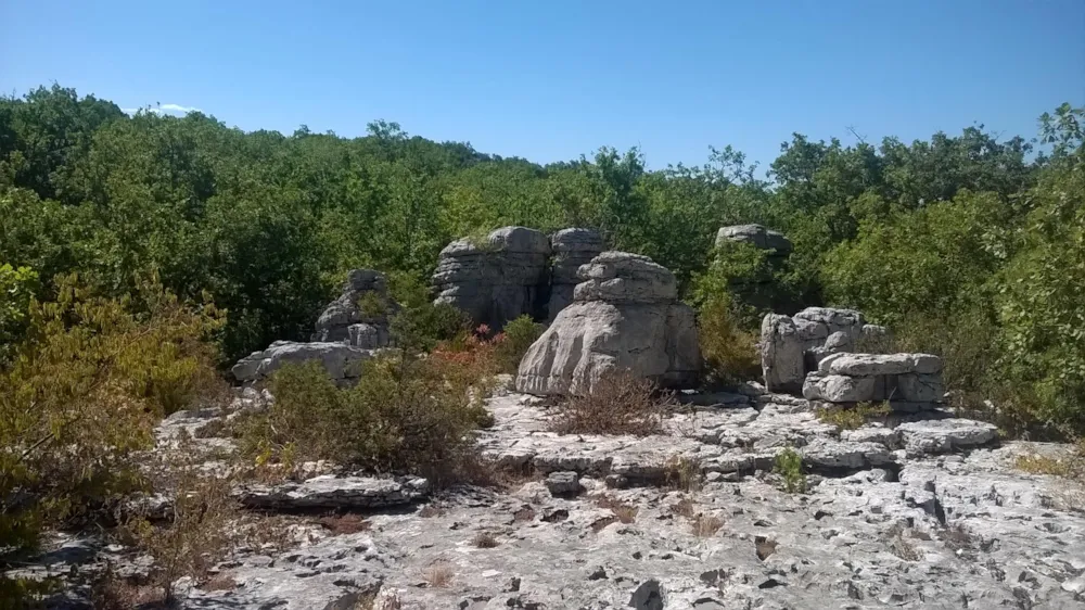 Camping Castanhada - image n°31 - Ardeche