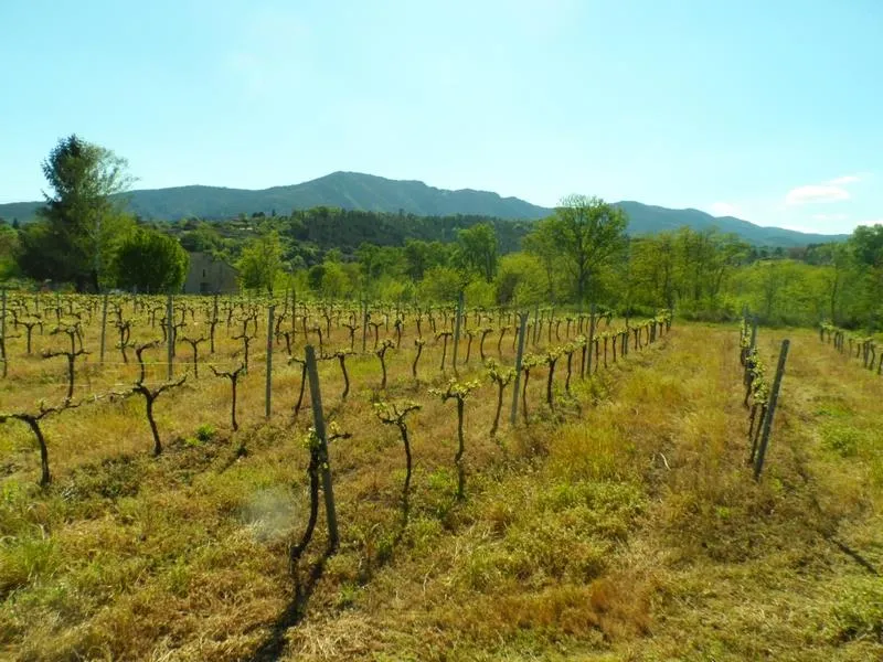 Camping Castanhada - image n°43 - Ardeche