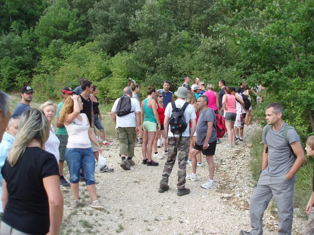 Camping Le Sous-Bois Ardèche