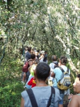 Foto #47 van Camping Le Sous-Bois Ardèche