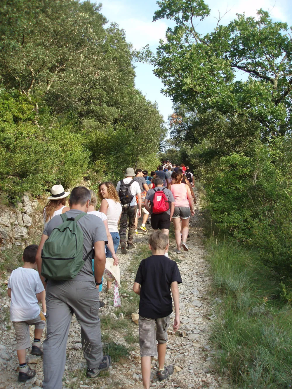 Camping Le Sous-Bois Ardèche