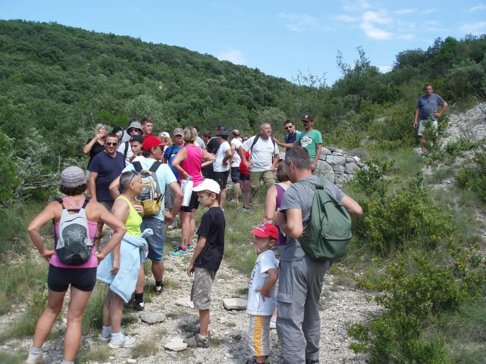 Camping Le Sous-Bois Ardèche