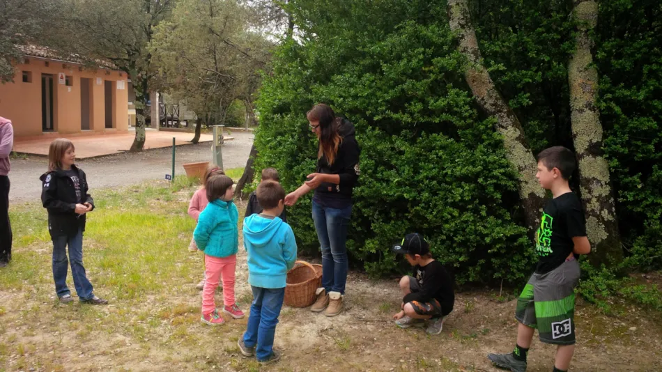 Camping Le Sous-Bois Ardèche